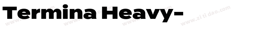 Termina Heavy字体转换